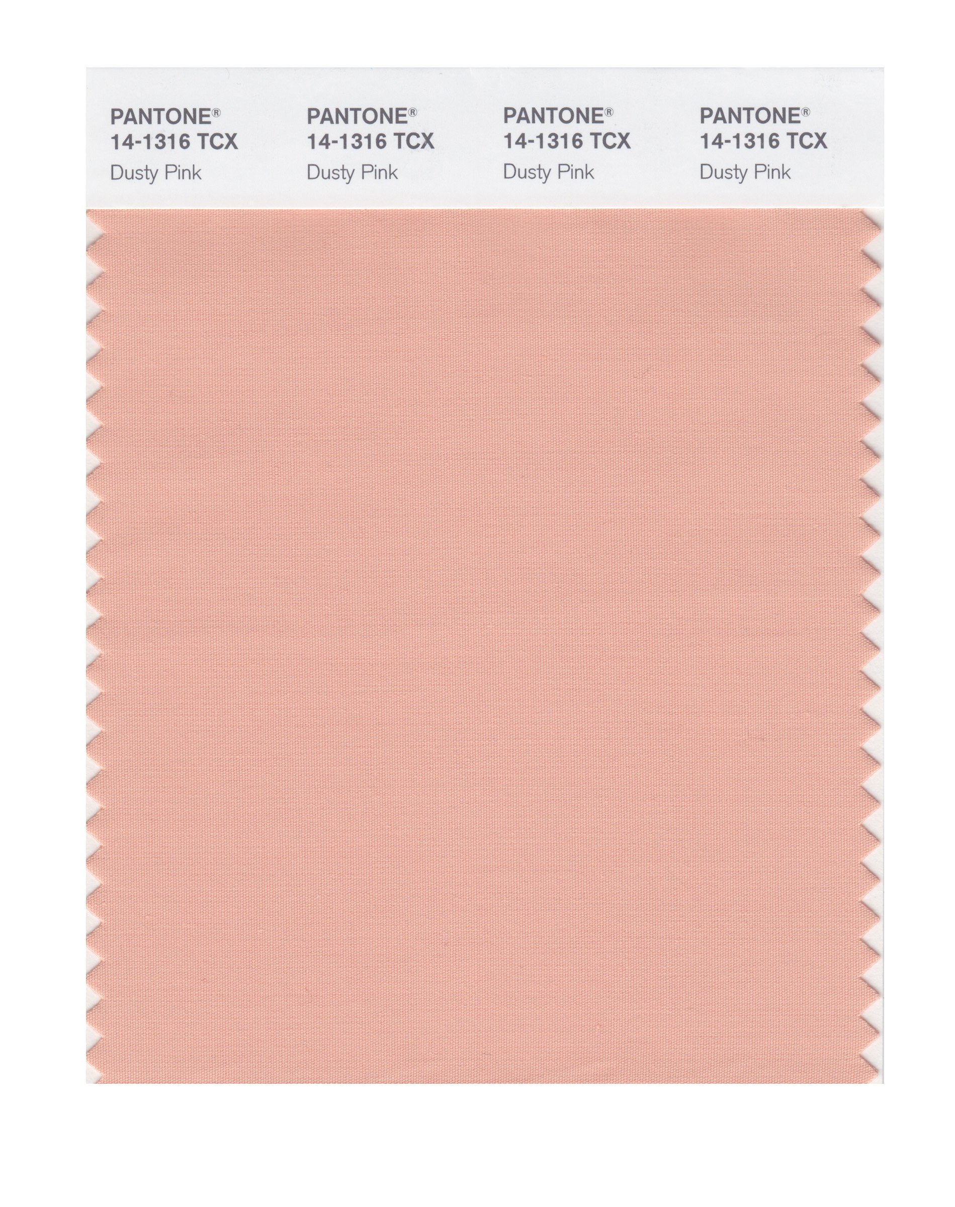 PANTONE Smart 14-1316X Color Swatch Card, Dusty Pink - Wall